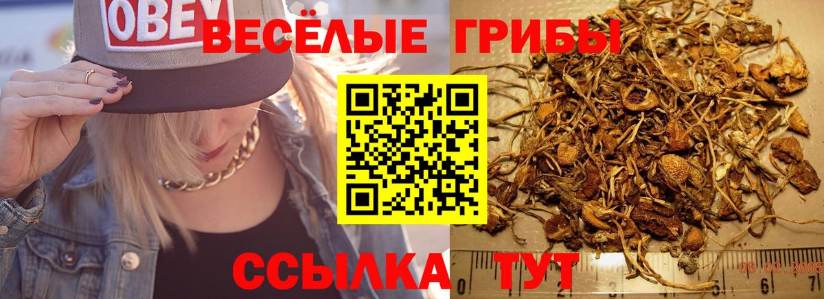 Галлюциногенные грибы прущие грибы Воркута
